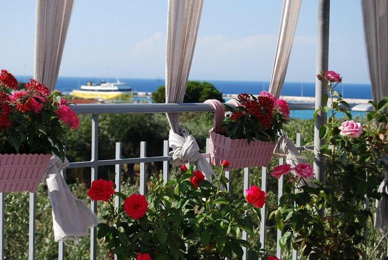 Luxury Traditional Room The Small Bookstore Kastro-Kyllini Εξωτερικό φωτογραφία